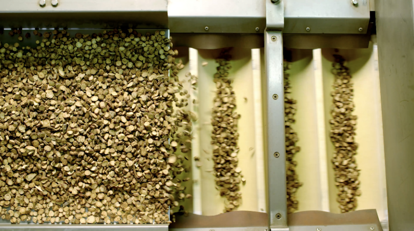 万利国际(中国集团)官方网站